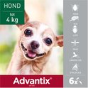 Lachende chihuahua tot 4 kg. Advantix beschermt tegen teken, vlooien, luizen, muggen, zandvliegen en stalvliegen.