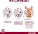 Stappenplan voor het aanbrengen van de Advantix pipet op de vacht van een bruine hond.