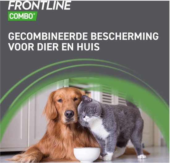 Golden retriever en grijze kat met witte borst drinken uit een witte kom. Gecombineerde bescherming voor dier en huis.