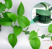 Extra grande set de 200 Plantenclips - auto-adhésif