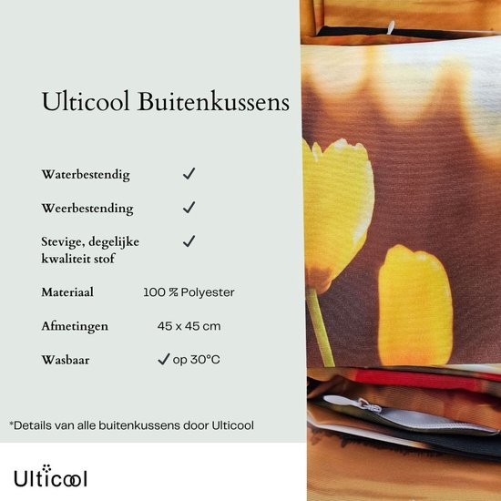 NIULAA Fluwelen Kussenhoes 45x45 Lente Set Van 2 Bloemen