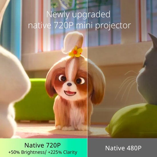Vergelijking van beeldkwaliteit: de linkerhelft toont een schattige puppy in 720P HD, de rechterhelft toont hetzelfde beeld in 480P.