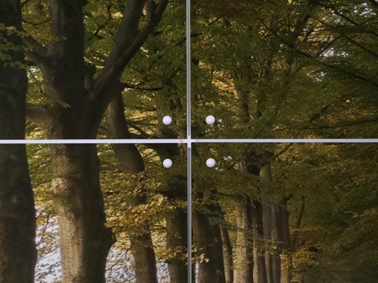 IXXI Autumn Forest Lane, Claire Droppert - 80 x 60 cm - Support d'accrochage gratuit - Grande décoration murale et posters - Réalisme, Photographie, Naturalisme