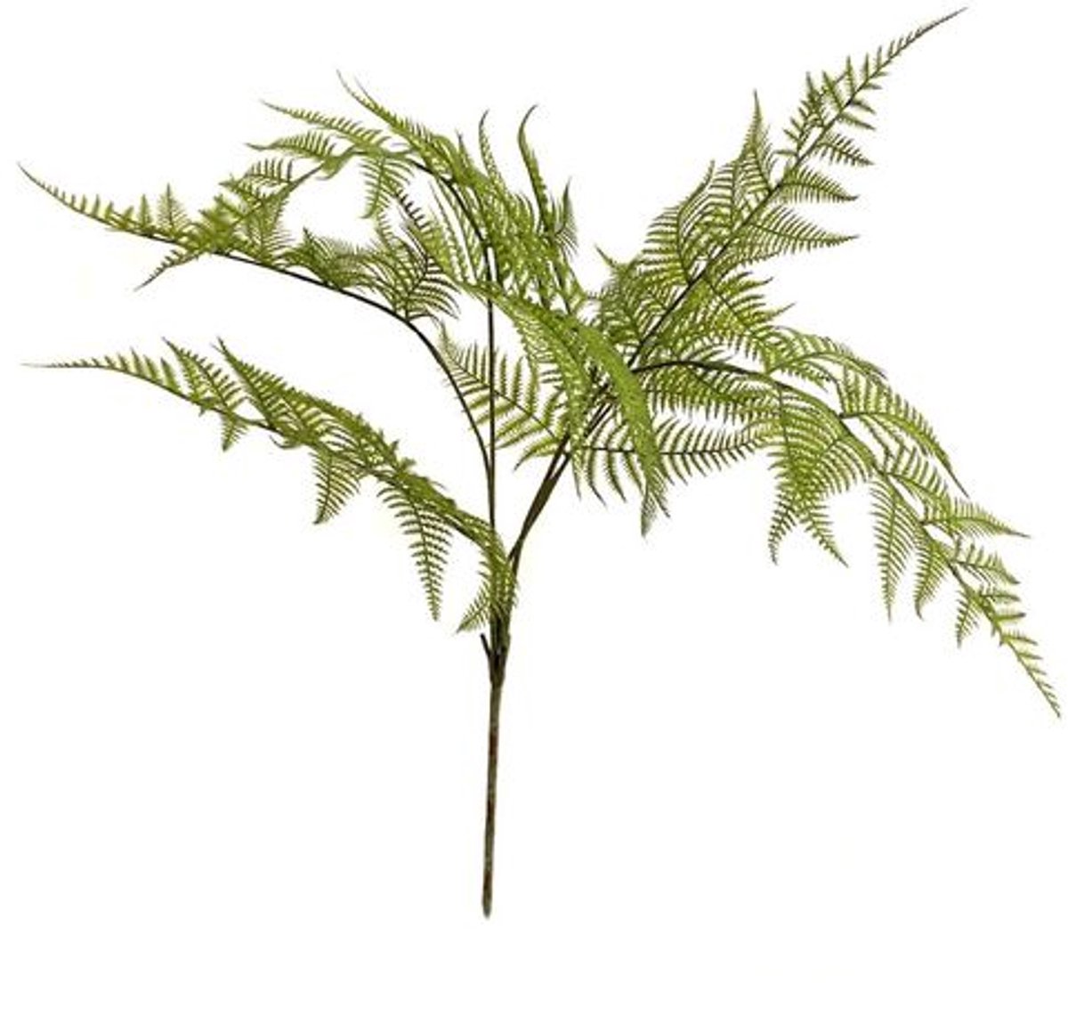 Fern garden bush x7 green 65 cm