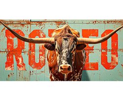 Signs-USA - Souvenir Kentekenplaat - metaal - Rodeo - 15 x 30 cm