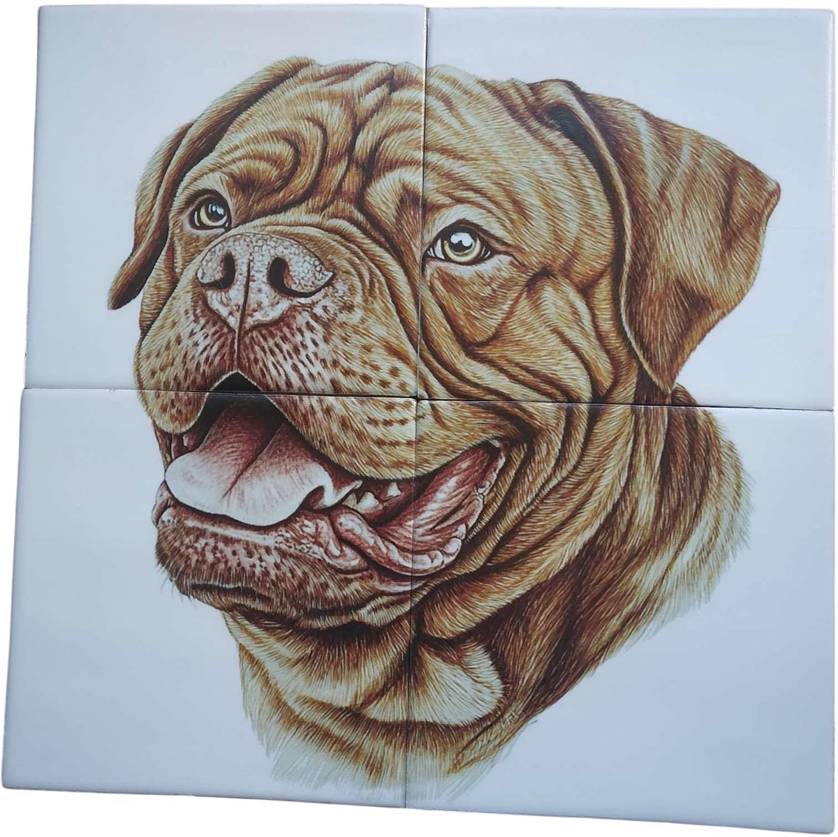 MadDeco Nederlands fabrikaat Bordeauxdog op plateau van 4 tegels Friese Witjes 13 x 13 cm per tegel