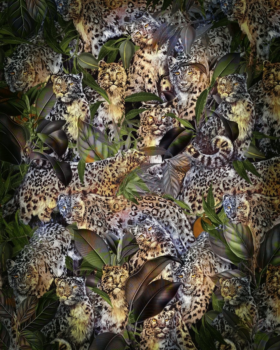 Fotobehang Wild Cats