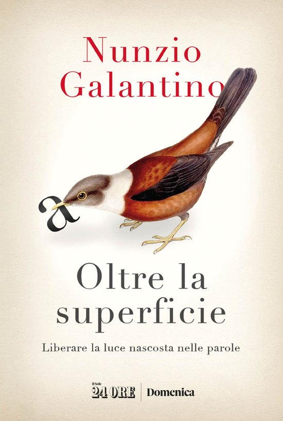 Oltre la superficie - cover