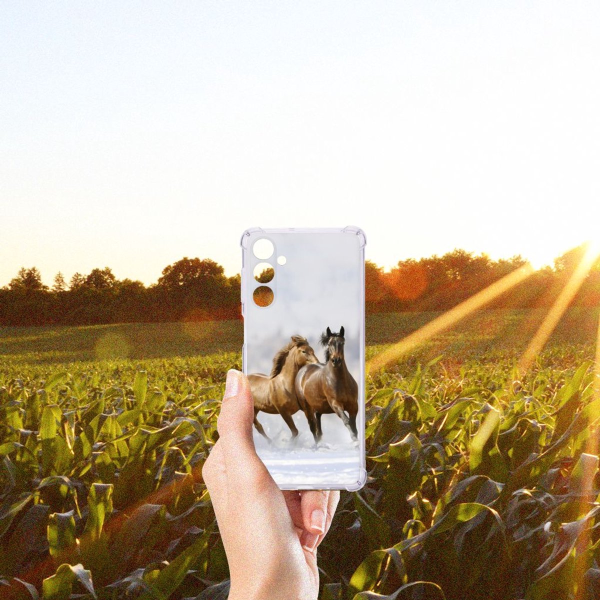 Samsung Galaxy M54 Case Anti-shock Paarden