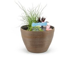 Moerings Terrasvijver De Luxe