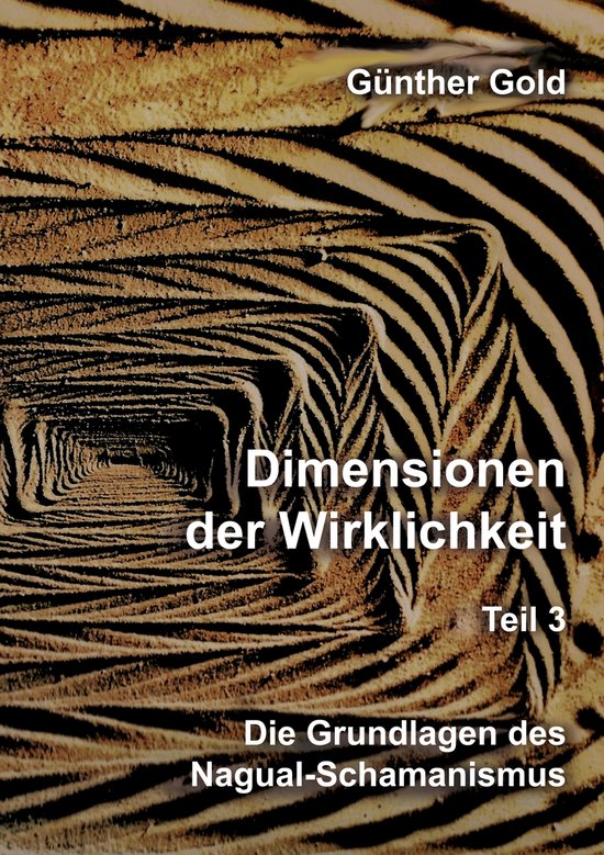 Dimensionen der Wirklichkeit – Teil 3 - cover