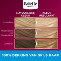 Palette logo bovenaan. Vergelijking van natuurlijke haarkleur met kleurresultaat voor lichtblond, middenblond tot donkerblond, en lichtbruin. "100% DEKKING VAN GRIJS HAAR".
