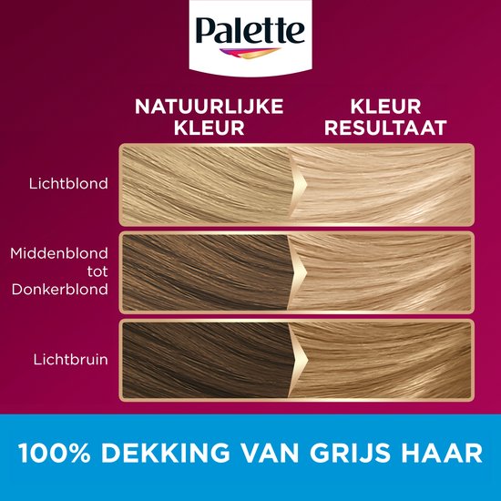Palette logo bovenaan. Vergelijking van natuurlijke haarkleur met kleurresultaat voor lichtblond, middenblond tot donkerblond, en lichtbruin. "100% DEKKING VAN GRIJS HAAR".