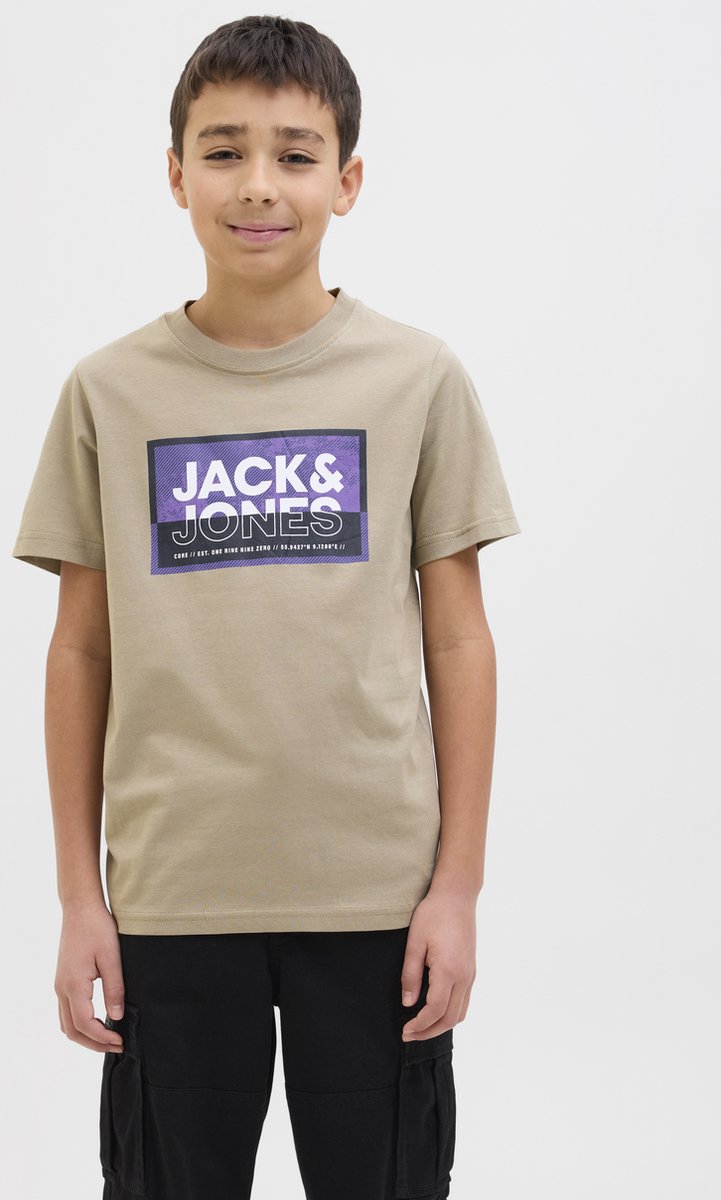 Jack & Jones JJBEAU CREW NECK 2 PACK - Sweater - iceberg green/sky