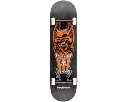 Birdhouse Stage 3 Skateboard TH Gargoyle 8.125