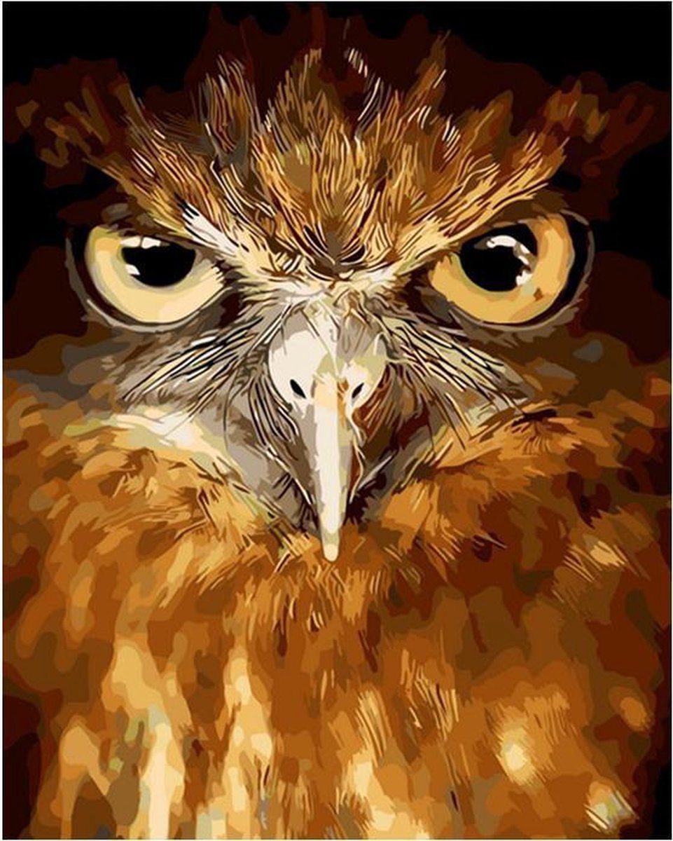 Schilderenopnummers.com® - Schilderen op nummer volwassenen - Havik - 50x40 cm