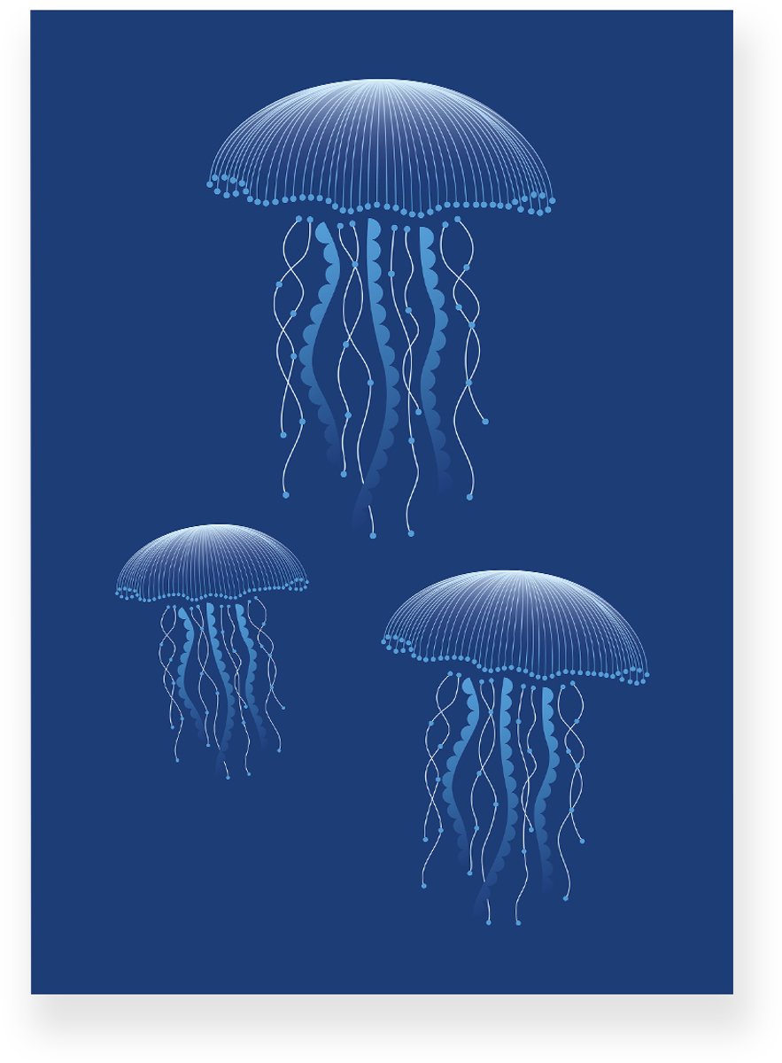 Yisual Poster 30x40 cm - Kwallen - Lichtblauw - Donkerblauw - Natuur - Modern - Muurdecoratie - Wanddecoratie