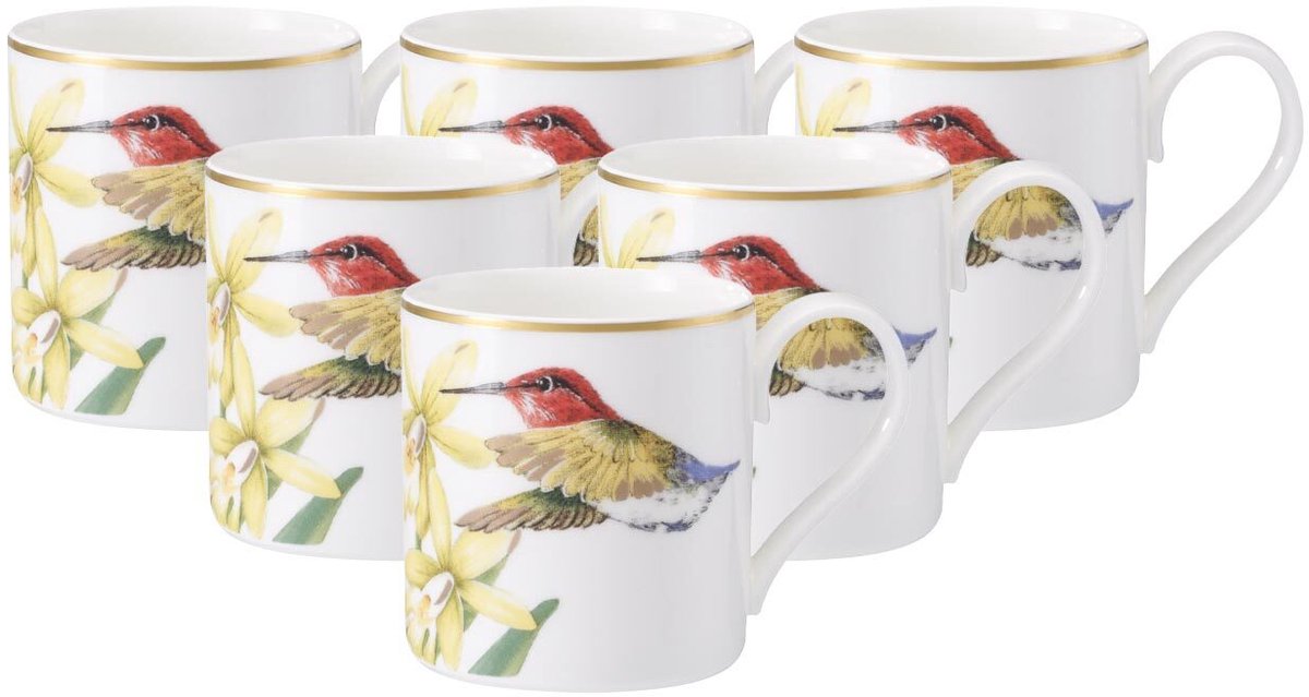 Mokka- / Espressotassen Amazonia 80 ml Set van 6