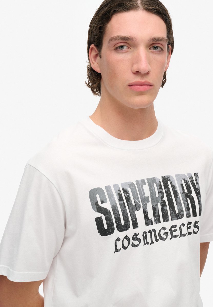 Superdry Photographic T-shirt met skate-logo en losse pasvorm Heren T-shirts Optic