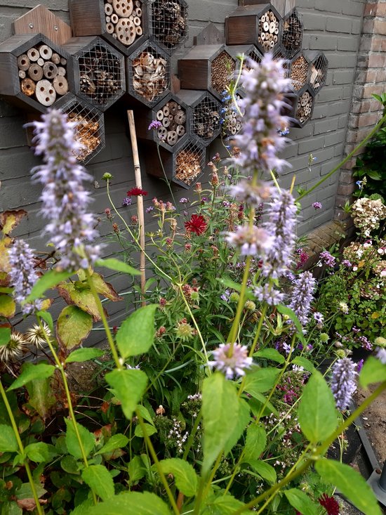 Een cluster van Garden Spirit insectenhotels aan een grijze muur, omringd door bloeiende planten in paars en roze.