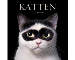 Katten