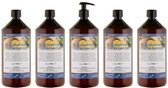 Bodylotion Fresh Ginger 1 Liter - met gratis pomp - set van 5 stuks - Voordeelverpakking
