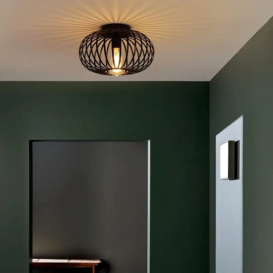 Industriële inbouw metalen kooi ronde plafondlamp | KIKI Lighting