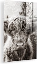 MuchoWow® Tableau sur verre 40x60 cm - Tableau acrylique sur verre - Highlander écossais - Vache - Animaux - Zwart - Wit - Photo sur verre - Décoration murale salon - Décoration murale chambre - Peintures