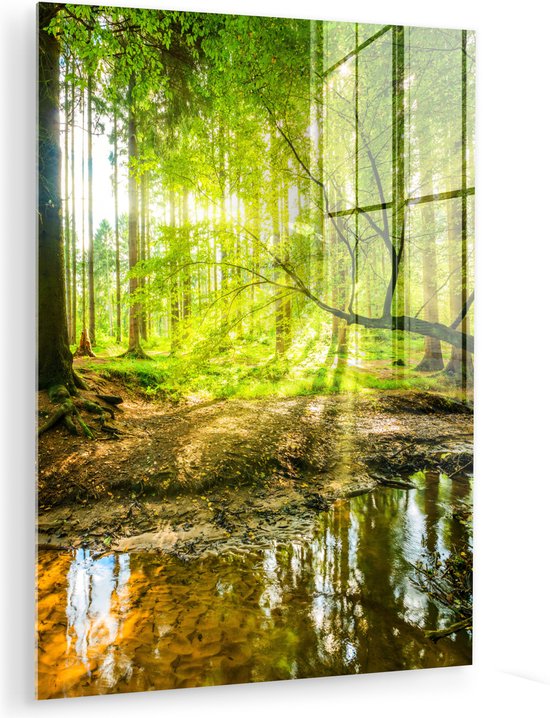 Glasschilderij - Acrylglas - Bos - Zon - Rivier - Wanddecoratie - Glasschilderij binnen - Foto op glas - 90x120 cm - Schilderij - Glasschilderij natuur