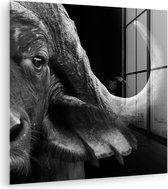 MuchoWow - Peinture sur verre - Photo sur verre - Verre acrylique - Animaux sauvages - Buffalo - Zwart - Wit - Décoration murale - 90x90 cm - Décoration murale - Salon - Décoration chambre