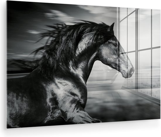 MuchoWow - Peinture sur verre - Photo sur verre - Verre acrylique - Animaux - Cheval - Nature - Zwart et blanc - Décoration murale - 90x60 cm - Peinture cheval - Peintures de salon