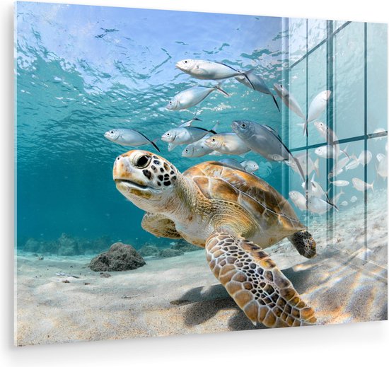 MuchoWow® Glasschilderij 160x120 cm - Schilderij acrylglas - Schildpad - Vis - Zee - Foto op glas - Muurdecoratie woonkamer - Wanddecoratie slaapkamer - Schilderijen