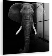 Peinture sur verre - Photo sur verre - Animaux - Éléphant - Zwart - Wit - Verre acrylique - 20x20 cm - Peinture sur verre éléphant - Décoration murale verre - Peinture sur verre noir et blanc - Décoration chambre