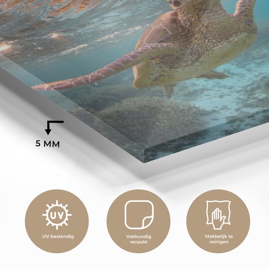 Peinture sur Verre - Mer - Tortue - Couleurs - 180x120 cm - Peintures sur Verre Peintures - Photo sur Glas