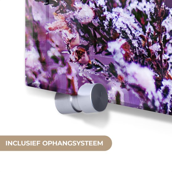 MuchoWow® Glasschilderij 120x180 cm - Schilderij acrylglas - Lavendel - Winter - Bloemen - Paars - Foto op glas - Muurdecoratie woonkamer - Wanddecoratie slaapkamer - Schilderijen