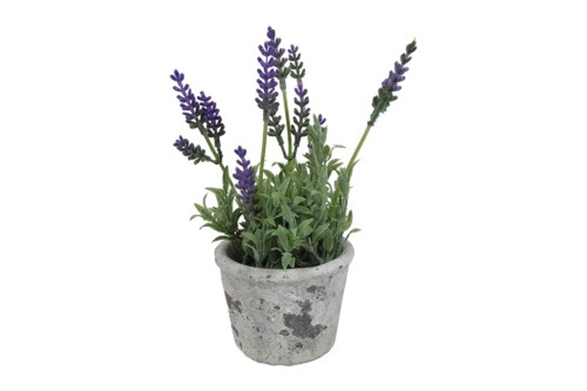 Sierpotje - Lavendel - Paars - 2 stuks - kunst
