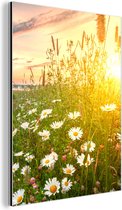 Décoration murale Métal - Peinture Aluminium Industrielle - Fleurs - Marguerite - Nature - Soleil - Horizon - 60x80 cm - Dibond - Photo sur aluminium - Décoration murale industrielle - Pour le salon / chambre