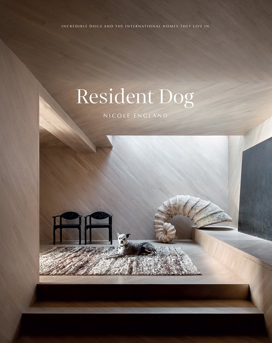Resident Dog - cover