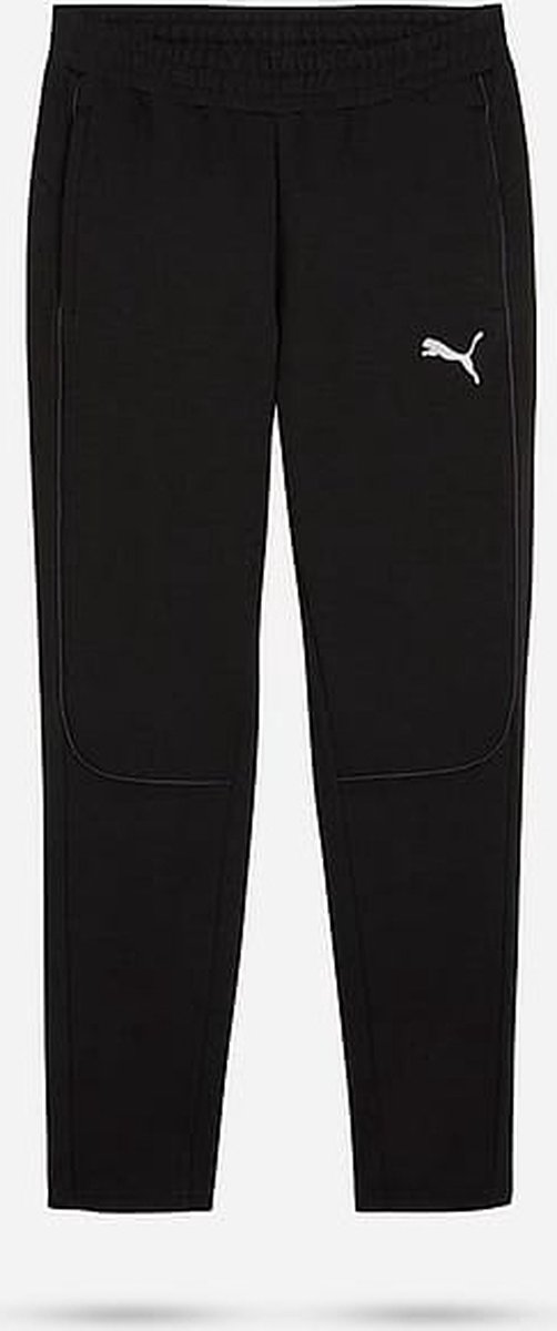 Puma Hose teamFINAL Casuals Pants Grijs