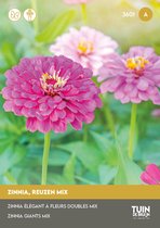 Tuin de Bruijn® zaden - Zinnia Californische Reuzen gemengd - prachtige zomerse bloemen