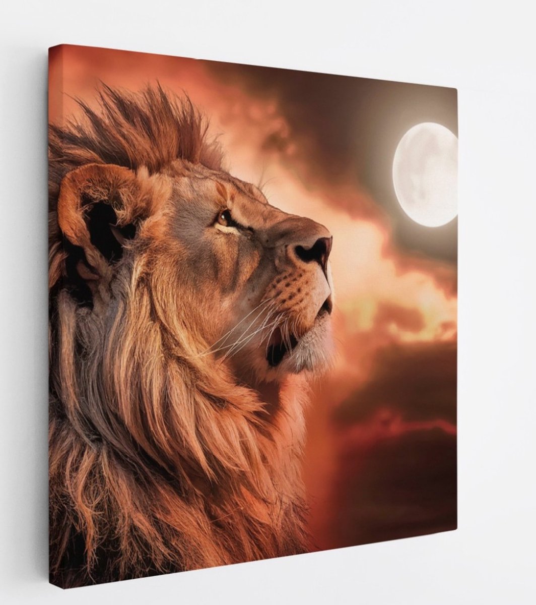 Saammp Canvas Schilderij - Leeuw met de maan - Dieren - Natuur - 30x30 - Foto op canvas - Wanddecoratie - Muurdecoratie Woonkamer - Slaapkamer decoratie - Canvas Print Multicolor