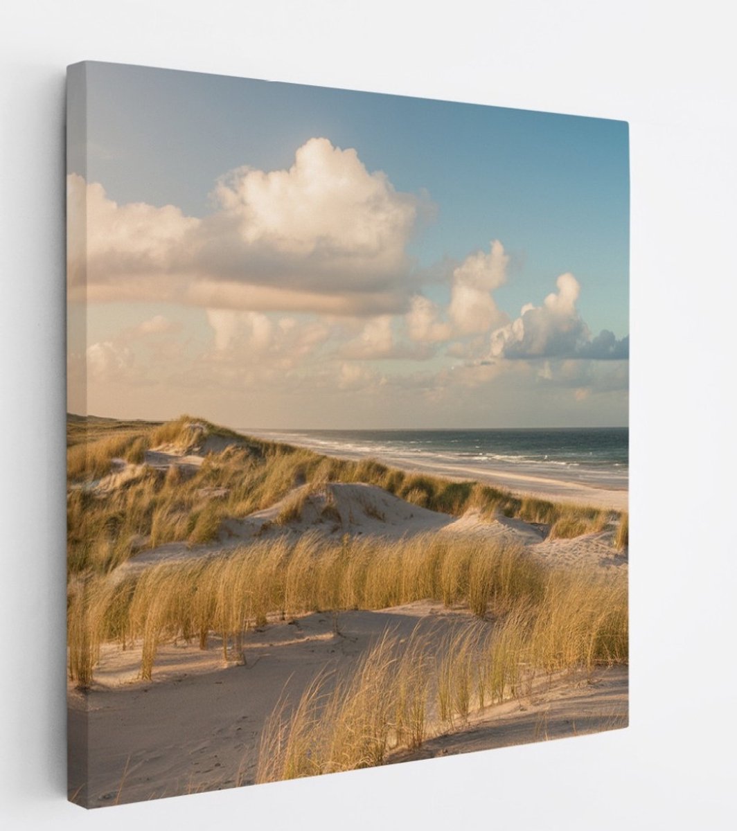 Saammp Canvas Schilderij - Strand - Helmgras - Zee - 30x30 - Foto op canvas - Wanddecoratie - muurdecoratie Woonkamer - Slaapkamer decoratie - Canvas Print Multicolor