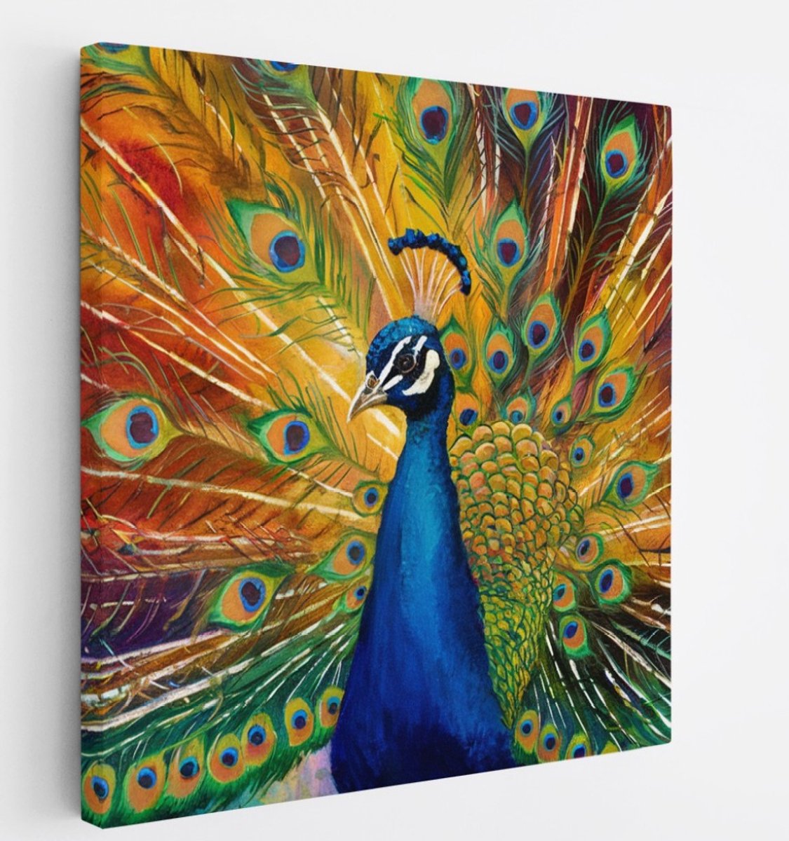 Saammp Canvas Schilderij - Pauw Kleurrijke hanen - Dieren - Natuur - 40x40 - Foto op canvas - Wanddecoratie - muurdecoratie Woonkamer - Slaapkamer decoratie - Canvas Print Multicolor