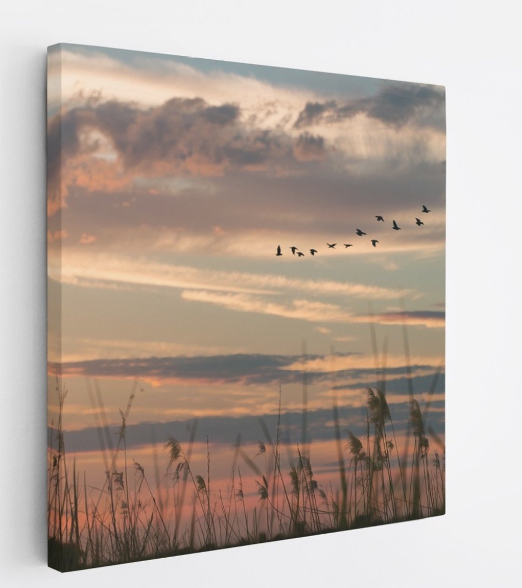 Saammp Canvas Schilderij -Vogels tijdens Golden hour - Zonsondergang - Landschap - Natuur - 60x60 - Foto op canvas - Wanddecoratie - Muurdecoratie Woonkamer - Slaapkamer decoratie - Canvas Print Multicolor