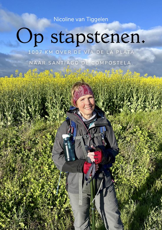 Op stapstenen. – Over de Vía de la Plata naar Santiago de ... - cover