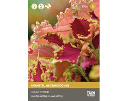 Tuin de Bruijn® Siernetel Rainbow Mix (Coleus blumei)