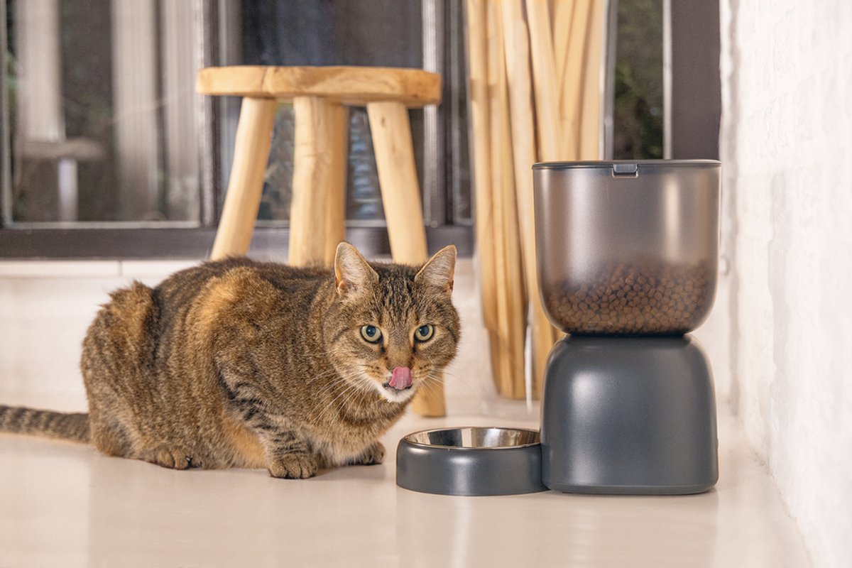 Beeztees Chris automatische Voerbak Kat - Smart - met app - voerautomaat kat - Antraciet - 3 liter thumbnail 6
