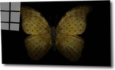 Golden butterfly lv 2 100x65 Plexiglas 5mm