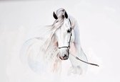Fotobehang - Vlies Behang - Wit Paard - Kunst - 152,5 x 104 cm