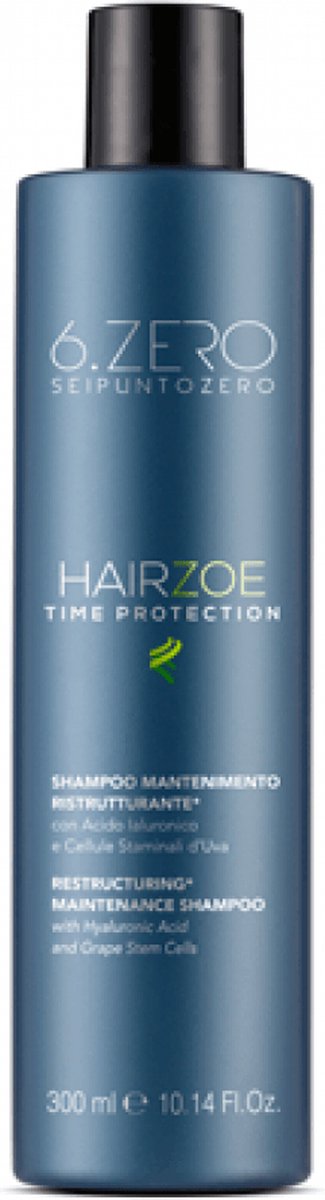 6.ZERO HAIRZOE Maintenance Shampoo